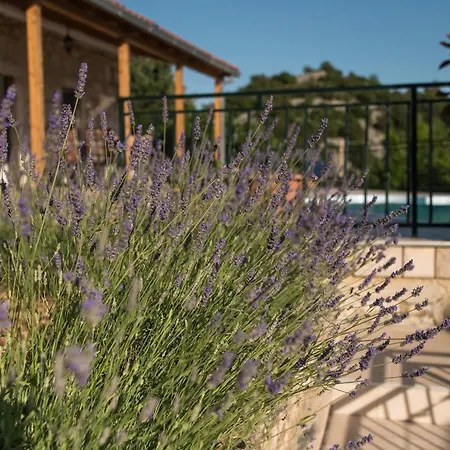 Bacinelle With Pool & Sea View Градац